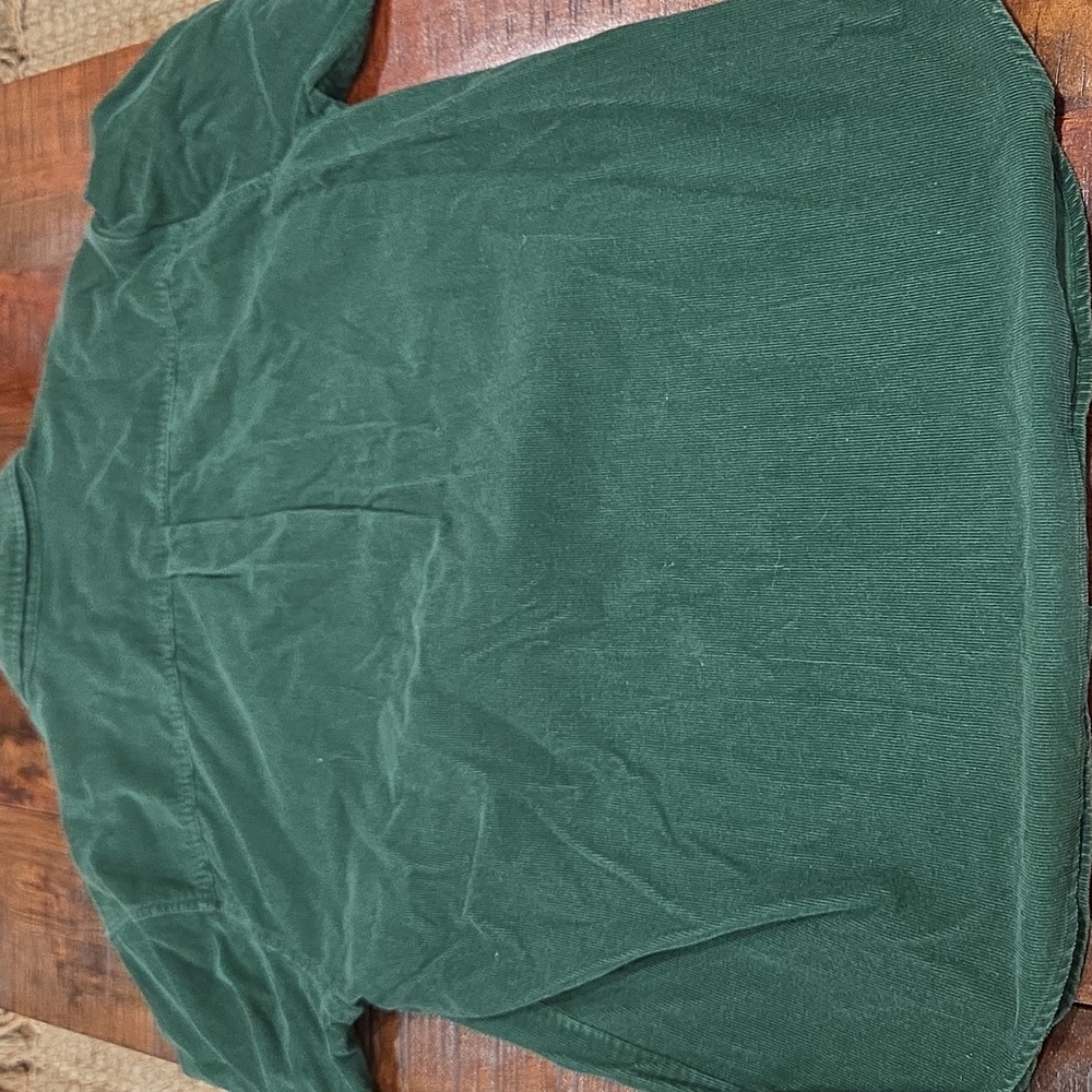 Vintage Disney Tigger Green Corduroy Button-Up Shirt - Picture 6 of 6